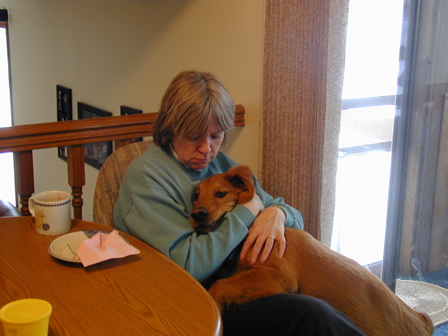 Connie & Nigel