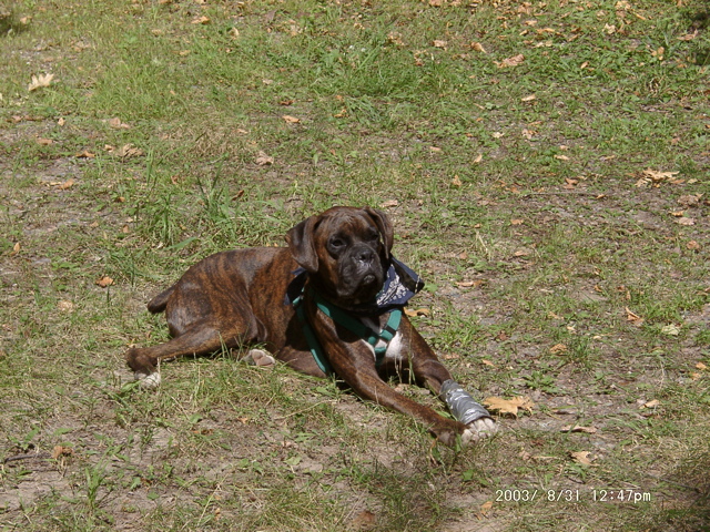 Puck