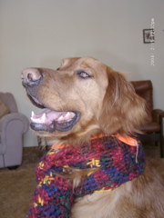Nigel