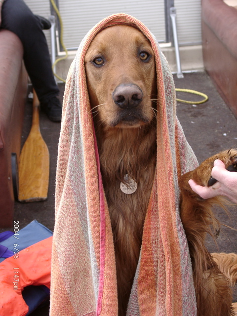 Nigel on a boat ride