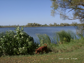 PDT Park
