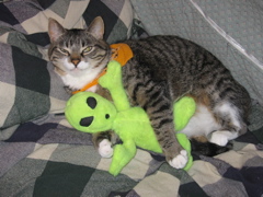 George and the Alien