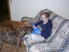Helper dogs