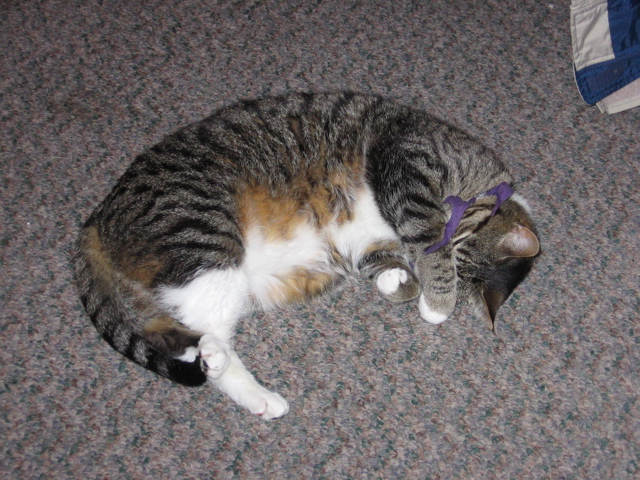 George sleeping