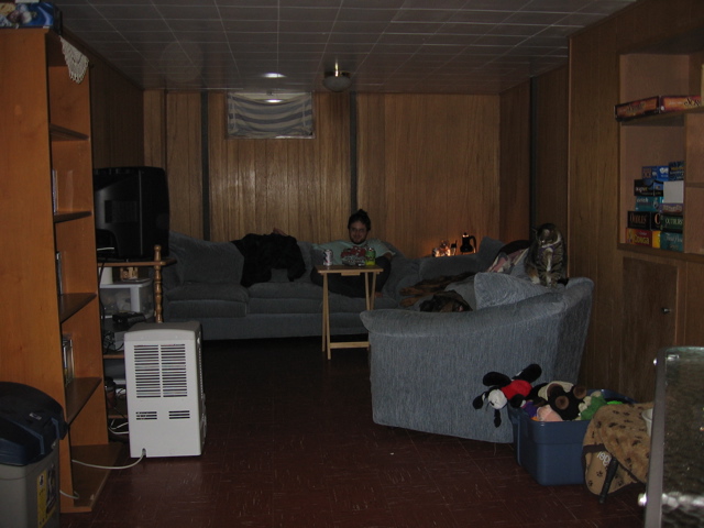 The basement