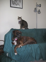 Puck and George