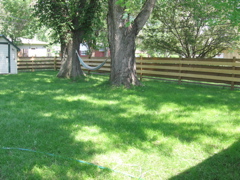 Unfinished fence