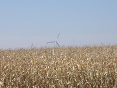 Windmill in Morris