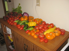 August 27 vegetable harvest (all ours!)