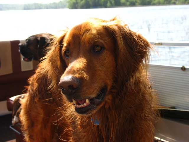 Nigel on the boat
