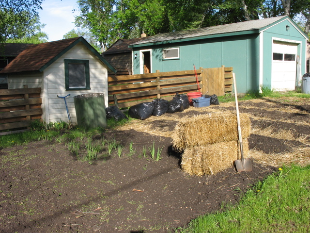 Back Garden