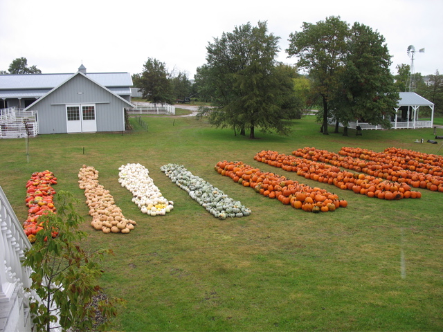My uncle's farm