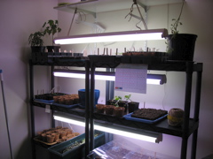 Plant Setup